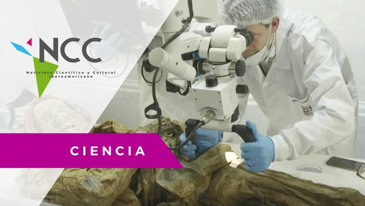 Momia ayuda a explicar la artritis