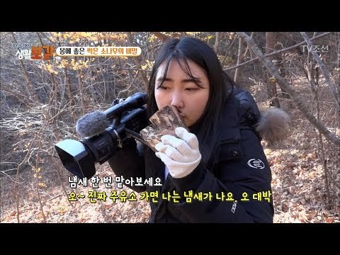 산에서 ‘이것’보면 기름 부자?! 대박!! [황수경의 생활보감] 36회 20171209