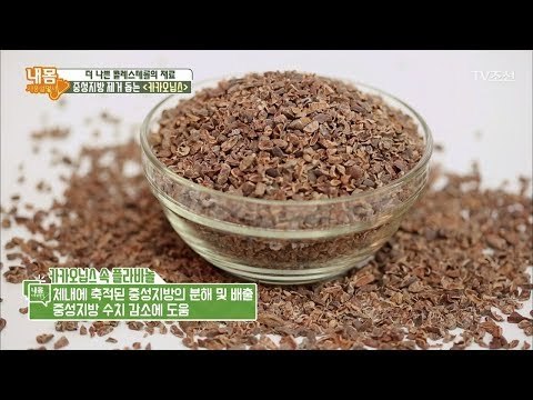 체중 감량, 중성지방 제거에 도움을 주는 ‘카카오닢스’ [내 몸 사용설명서] 183회 20171215