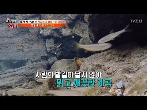 아름다운 1급 천에서 물고기 좀 잡아볼까? [뉴 코리아 헌터] 81회 20171218