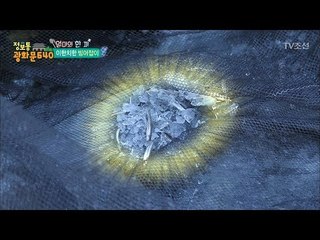 겨울철 별미! 빙어를 직접 잡다! [정보통 광화문 640] 98회 20171222