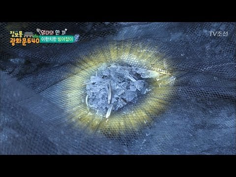 겨울철 별미! 빙어를 직접 잡다! [정보통 광화문 640] 98회 20171222