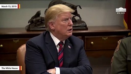 Download Video: Trump Again Claims 'No Collusion,' Blames Democrats For Russia 'Hoax'