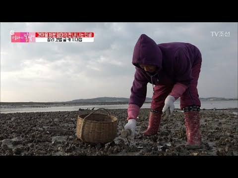 굴을 캐기 위해 봐둔 자리를 뺏긴 엄마! [엄마의 봄날] 123회 20180114