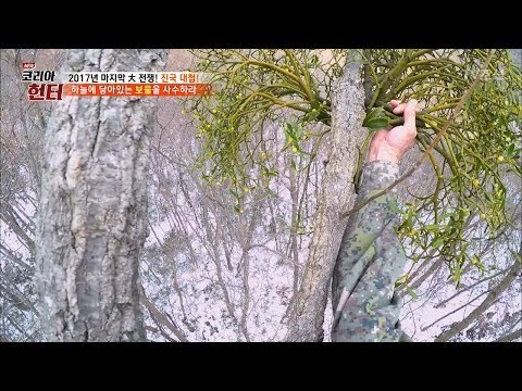 20m 높이 나무 꼭대기에서 자라는 ‘보물’ [뉴 코리아 헌터] 82회 20171225