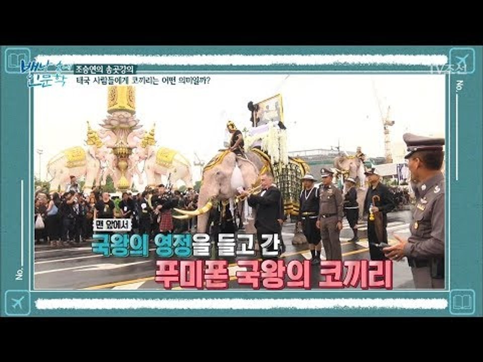 국왕의 영정을 들고 가는 태국의 코끼리 [배낭 속에 인문학] 31회 20180114
