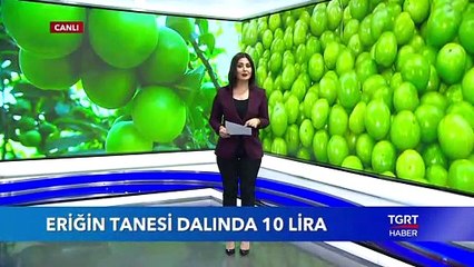 Eriğin Tanesi Dalında 10 Lira