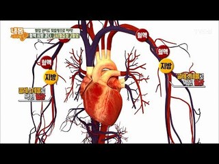 중성지방이 있으면 왜 혈압이 높아지는가! [내 몸 사용설명서] 189회 20180126