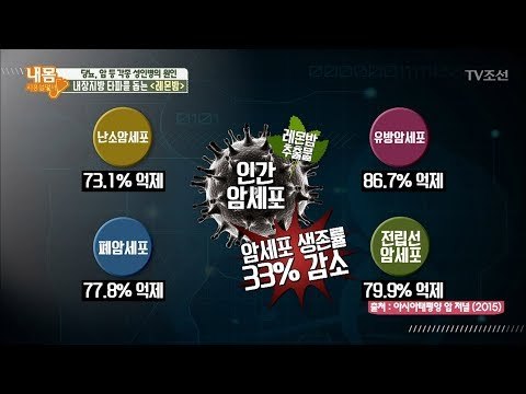 암세포 죽여주는 슈퍼 식물 ‘레몬밤’ [내 몸 사용설명서] 188회 20180119