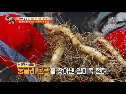 클라스가 다른 헌터들의 약초 찾는 실력! [뉴 코리아 헌터] 83회 20180101