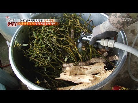 약초로 진~한 국물을 낸다?! 산을 품은 진국! [뉴 코리아 헌터] 82회 20171225