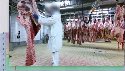 Moovency – Assessing Movement and Posture with Motion Capture Technology