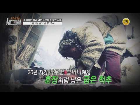 톱질하는 허리 굽은 노모의 처절한 사투_시그널 10회 예고