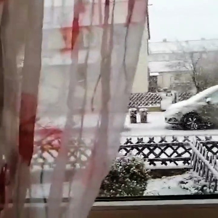 Cat Goes Crazy for Snow