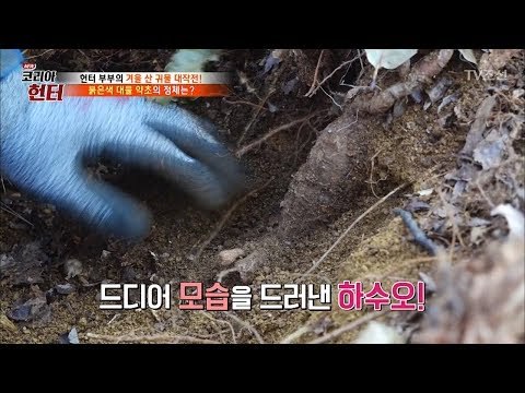 대물 약초 하수오 발견! 그러나..? [뉴 코리아 헌터] 83회 20180101