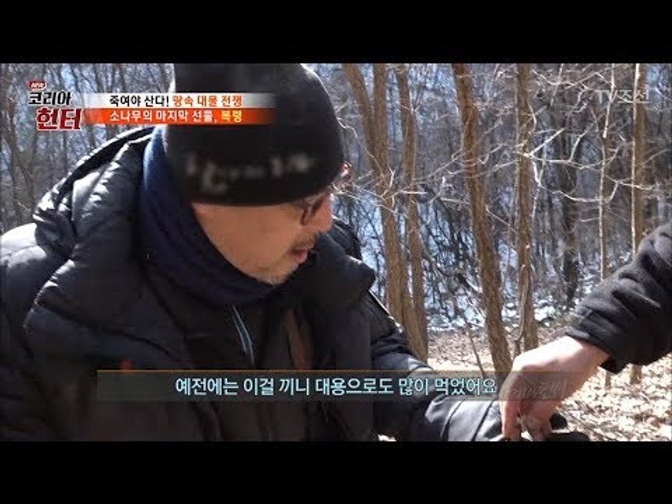 고된 산행, 복령을 찾은 헌터! 이병진 입 안으로 쏙! [뉴 코리아 헌터] 85회 2...