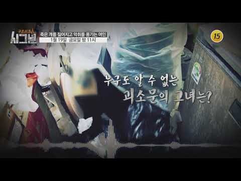 죽은 개를 짊어지고 악취를 풍기는 여인_시그널 12회 예고