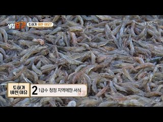 저게 20만원? 토하가 비싼 이유는? [황수경의 생활보감] 41회 20180113