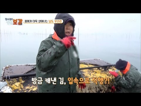 방금 캔 김을 바로 먹는다?! [황수경의 생활보감] 41회 20180113