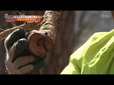 뿌리를 잘라내자 보이는 행운의 숫자...?! [뉴 코리아 헌터] 85회 20180115