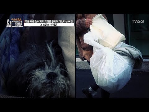 쓰레기장 그 자체인 그녀의 집! 그리고 살아있는 강아지! [시그널] 12회 20180119