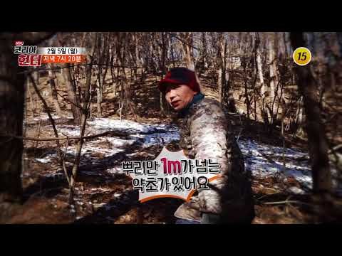 해발 650m 독을 빼는 삼부자를 찾아라!_코리아헌터 88회 예고