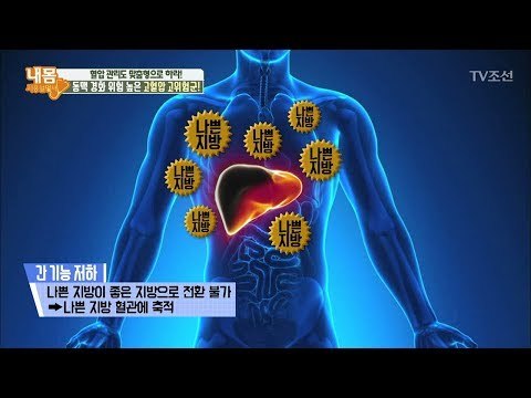 간 수치와 고혈압은 아주 밀접한 관계! [내 몸 사용설명서] 189회 20180126