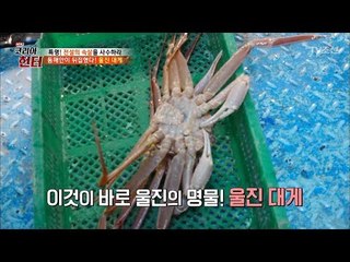 대게 중에도 되게 맛있다는 ‘울진 대게’ [뉴 코리아 헌터] 91회 20180226