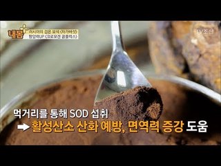 크로모겐 콤플렉스! 차가버섯의 항암력을 UP! [내 몸 플러스] 89회 20180204