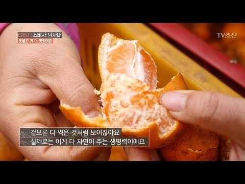 썩은 감귤, 껍질을 까보니 믿을 수 없는 모습이! [CSI 소비자 탐사대 14회] 20180304
