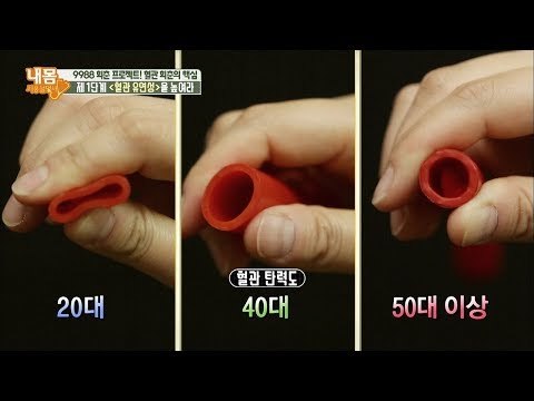 혈관에도 콜라겐이? 혈관 유연성 감소의 원인은?! [내 몸 사용설명서] 197회 20180323