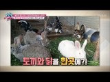 나의 동물을 지키기 위해 도끼를 품고 자다? [모란봉 클럽] 125회 20180206