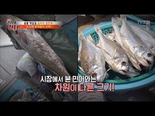 드디어 민어잡이 시작! 1m크기의 민어들! [뉴 코리아 헌터] 89회 20180212
