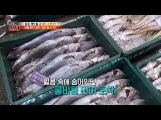 대물보다 더 귀한 굴비용 민어를 찾았다! [뉴 코리아 헌터] 89회 20180212