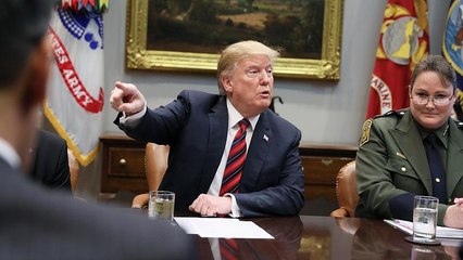 Trump: "Bloccati tutti i Boeing 737 Max 8 e 9"