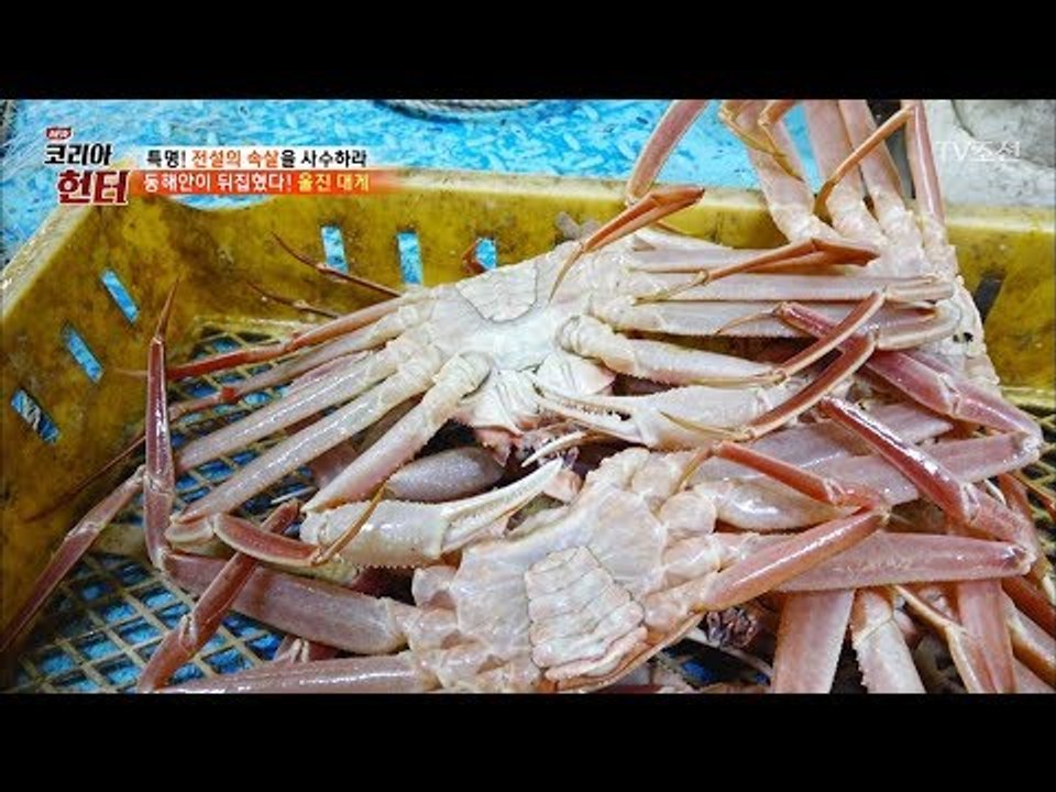 최대로 틀어라! 울진 대게 모두 줄줄이 입장 [뉴 코리아 헌터] 91회 20180226