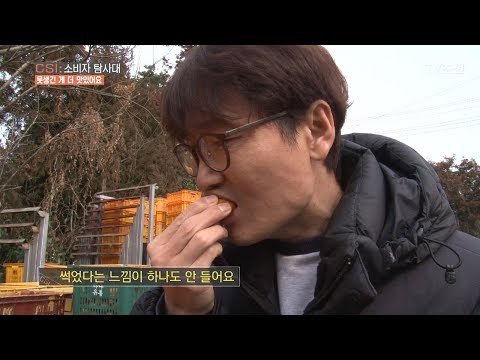 썩은 줄 알았던 감귤, 피디가 직접 먹어보니?! [CSI 소비자 탐사대 14회] 20180304
