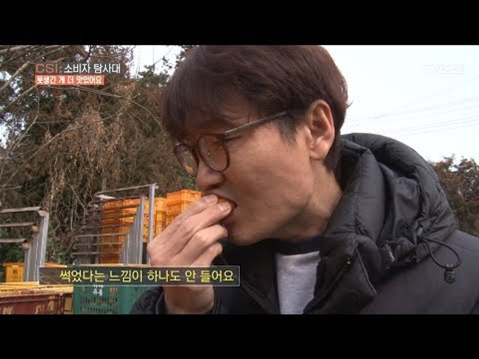 썩은 줄 알았던 감귤, 피디가 직접 먹어보니?! [CSI 소비자 탐사대 14회] 20...