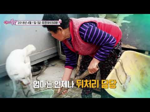 이순 엄마네，개님 ‘백구’_엄마의 봄날 133회 예고