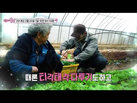 한 손으로 가꾼 사랑 성자 엄마_엄마의 봄날 132회 예고