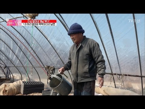 사실은 엄마를 더 생각하는 아빠의 진심! [엄마의 봄날] 133회 20180401