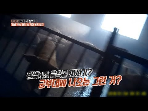 ‘음식물찌꺼기’먹는 돼지가 우리 식탁에... [CSI 소비자 탐사대 21회] 20180422