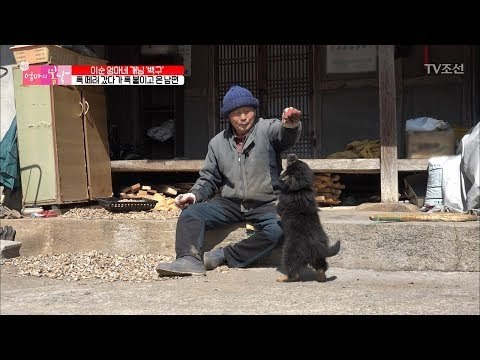 일하는 엄마 놔두고 개를 또 데려온 아빠! [엄마의 봄날] 133회 20180401