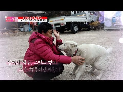 남편과 백구까지, 함께 행복할 일만 남은 엄마! [엄마의 봄날] 133회 20180401