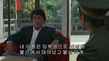 폴리스 스토리 (31)