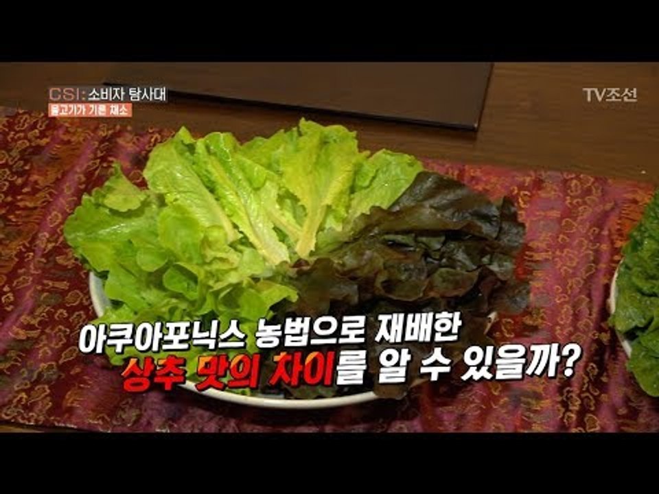 아쿠아포닉스 재배 상추 VS 일반 농장 상추의 맛의 차이는? [CSI 소비자 탐사대...