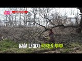 달라도 너무 다른 부부! 부부의 별거 아닌 별거생활! [엄마의 봄날] 138회 20180506