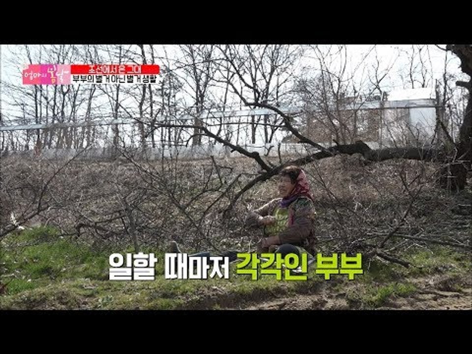 달라도 너무 다른 부부! 부부의 별거 아닌 별거생활! [엄마의 봄날] 138회 201...