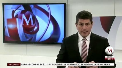 Piden un protocolo de rescate a animales tras incendio en Veracruz