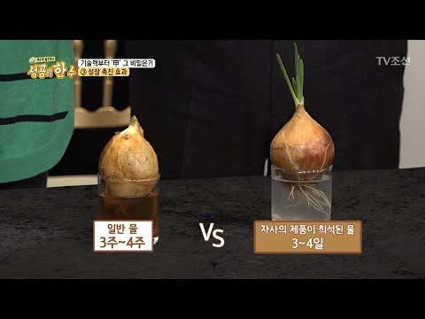 세정제, 아무거나 쓰면 안 되는 이유! [성공의 한수] 5회 20180407